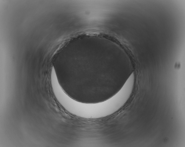 X0000111801445200908131425