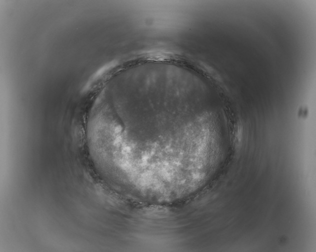 X0000111801446200908131425