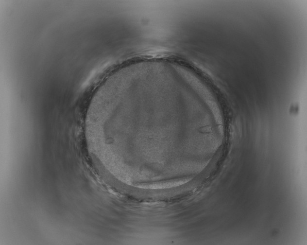 X0000111801447200908131425