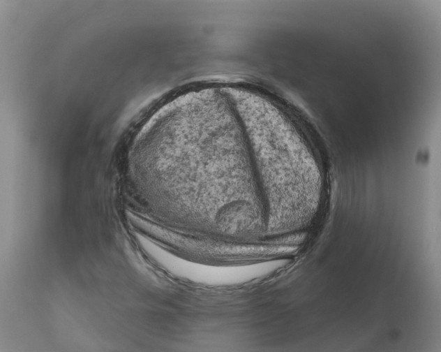 X0000111801448200908131425