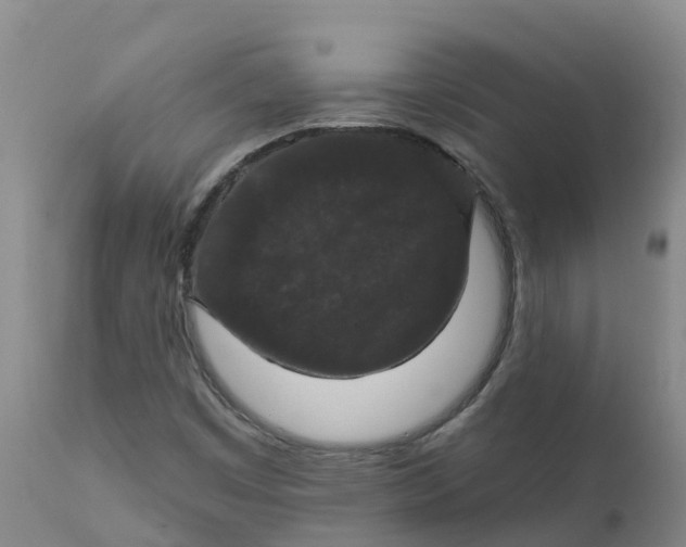 X0000111801449200908131425