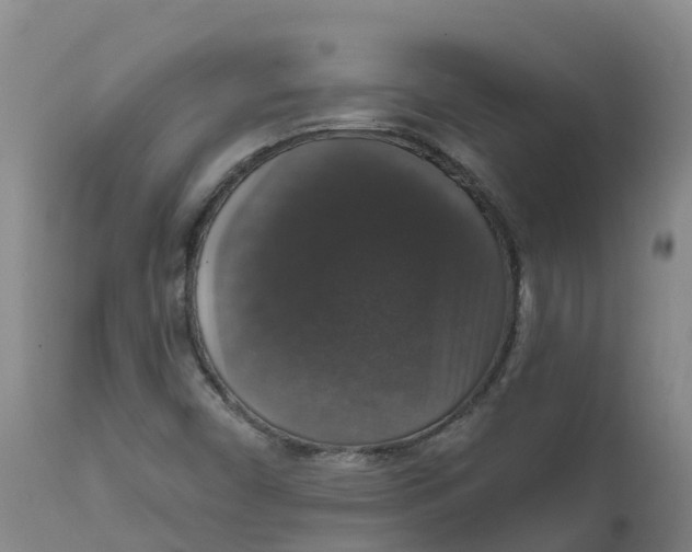 X0000111801450200908131425