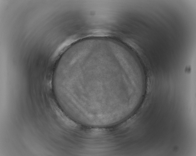X0000111801451200908131425