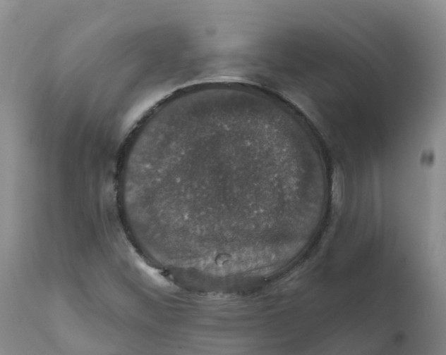 X0000111801452200908131425