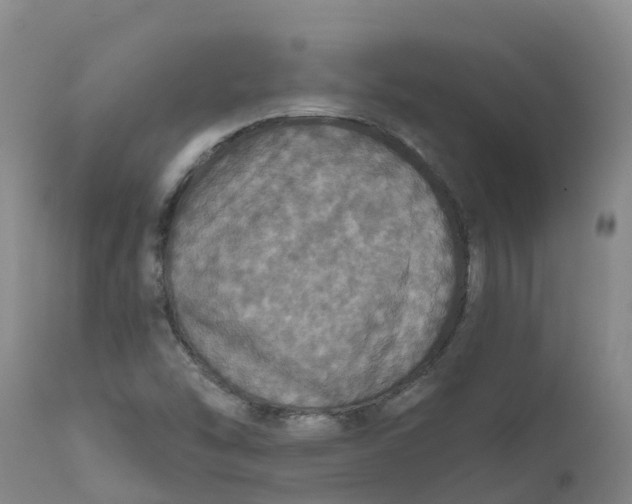 X0000111801454200908131425