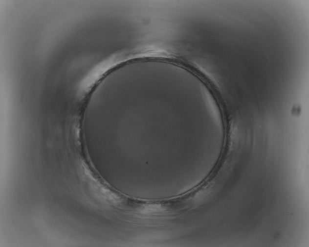 X0000111801455200908131425