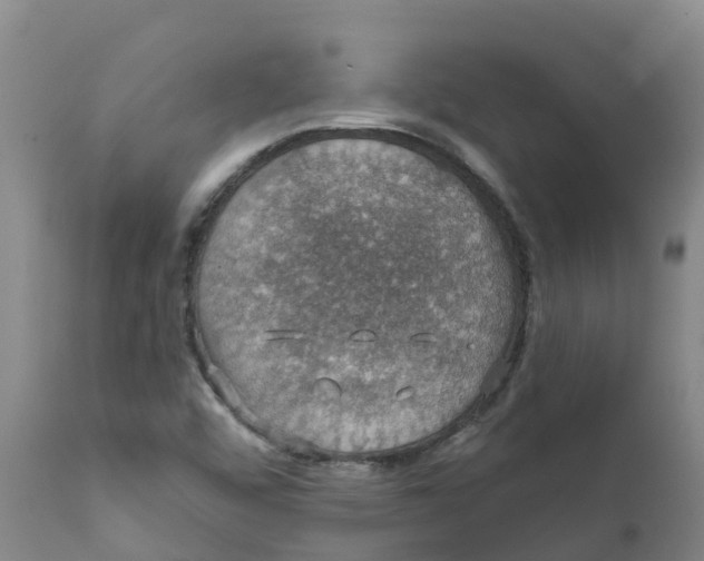 X0000111801456200908131425