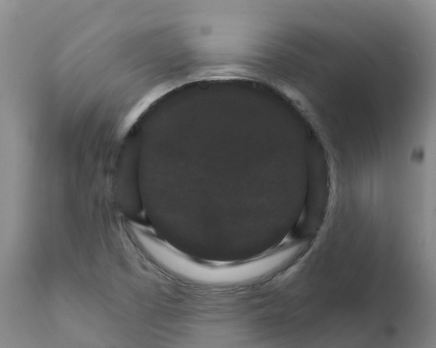 X0000111801457200908131425