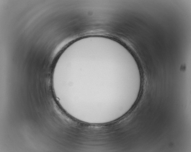 X0000111801458200908131425