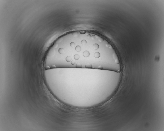 X0000111801459200908131425