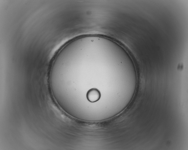 X0000111801460200908131425