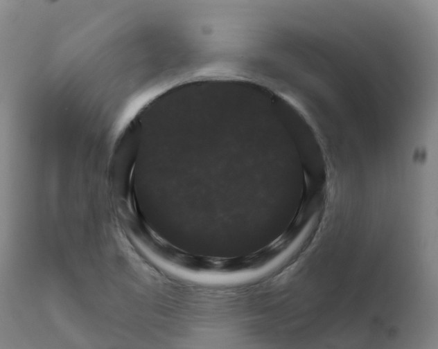 X0000111801461200908131425