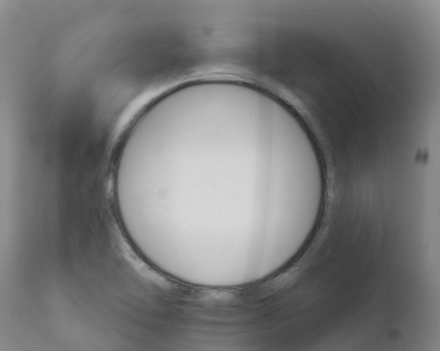 X0000111801462200908131425