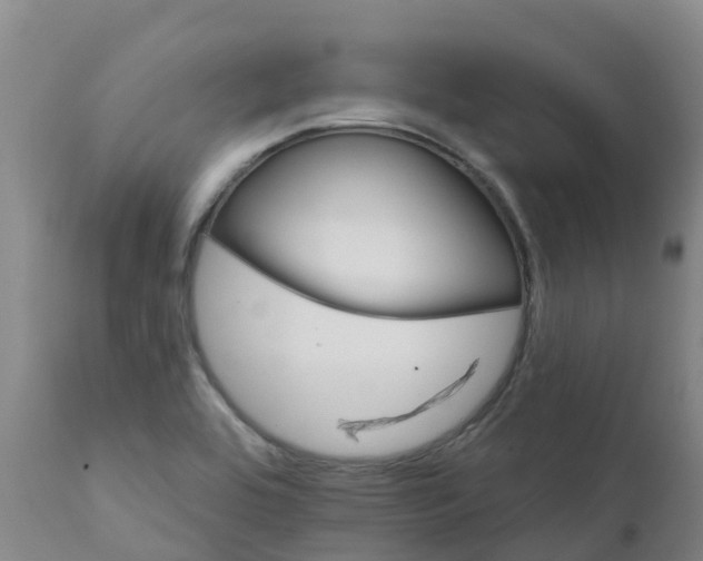 X0000111801464200908131425