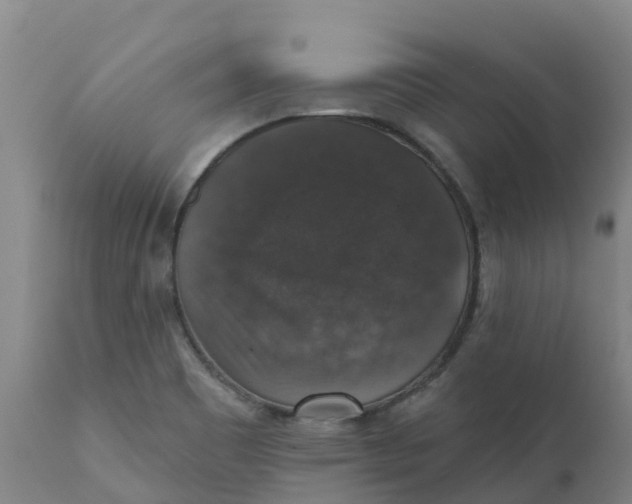 X0000111801465200908131425