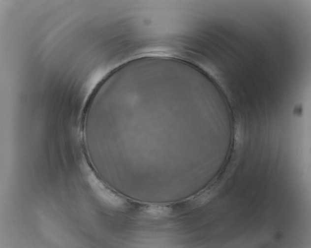 X0000111801466200908131424