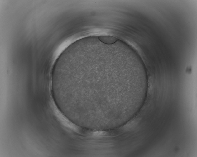 X0000111801467200908131424
