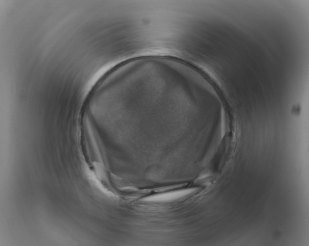 X0000111801468200908131424