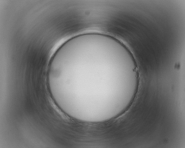 X0000111801469200908131424