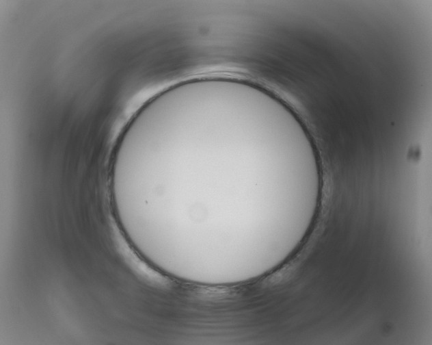X0000111801470200908131424