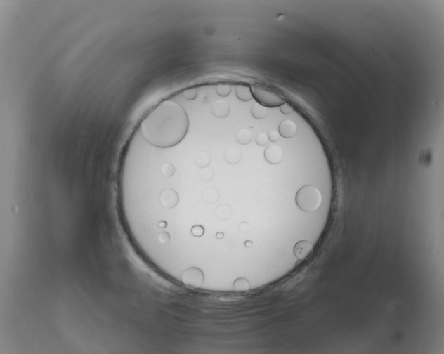 X0000111801471200908131424