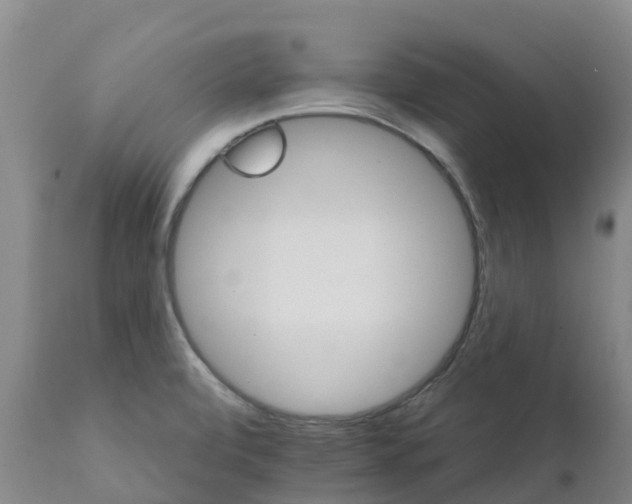 X0000111801472200908131424