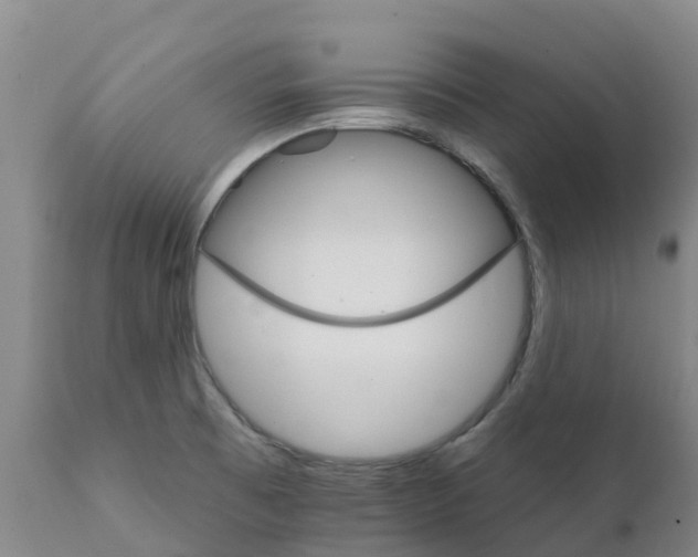 X0000111801473200908131424