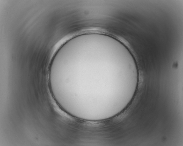 X0000111801474200908131424
