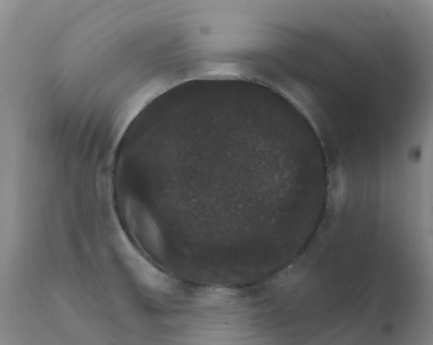 X0000111801475200908131424