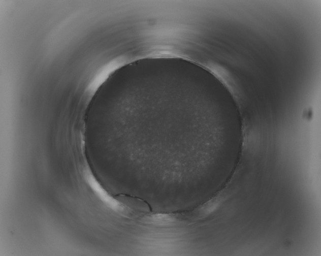 X0000111801476200908131424