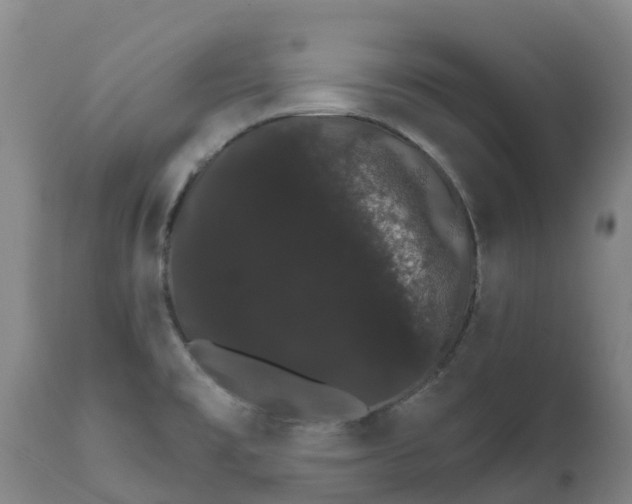 X0000111801477200908131424