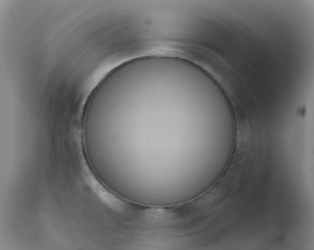 X0000111801478200908131424