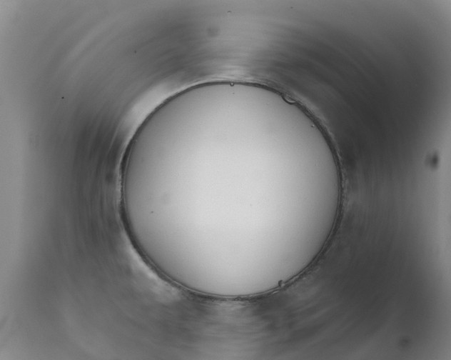 X0000111801479200908131424