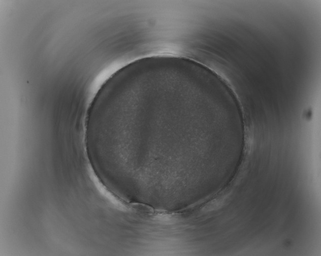 X0000111801480200908131424