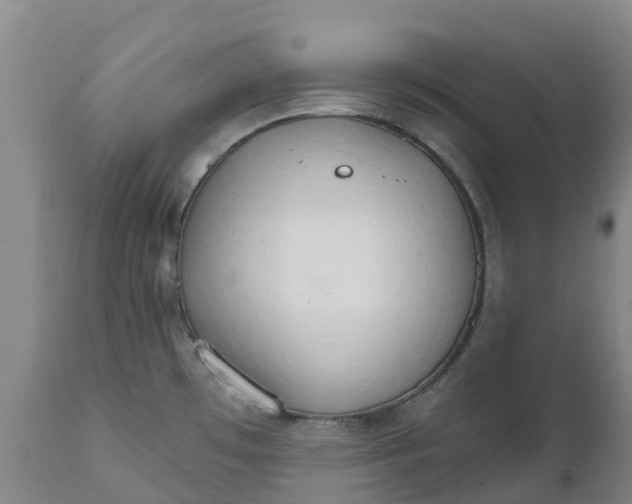 X0000111801481200908131424