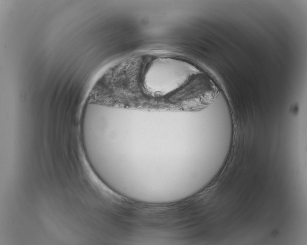 X0000111801483200908131424