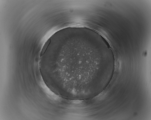 X0000111801484200908131424