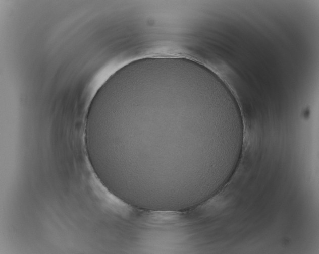 X0000111801486200908131424