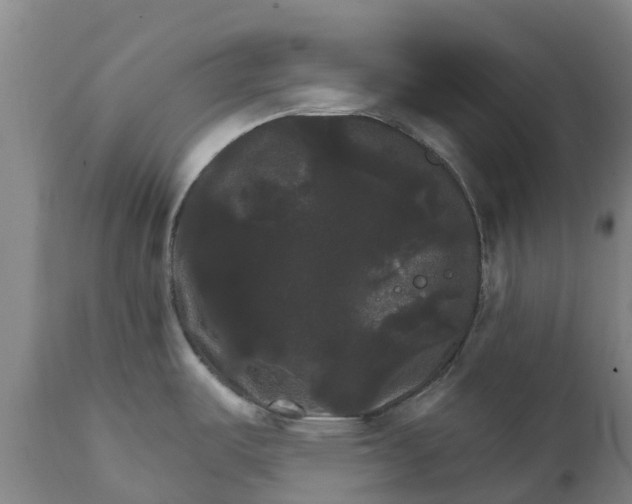 X0000111801487200908131424