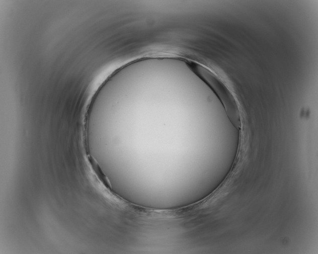 X0000111801488200908131424