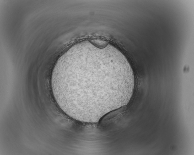 X0000111801489200908131423
