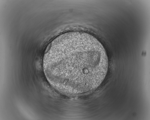 X0000111801490200908131423