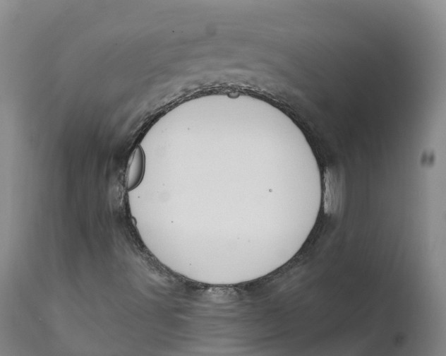 X0000111801491200908131423