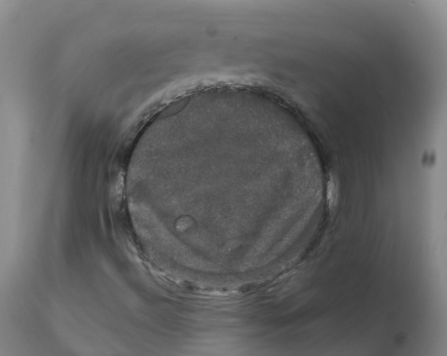 X0000111801492200908131423