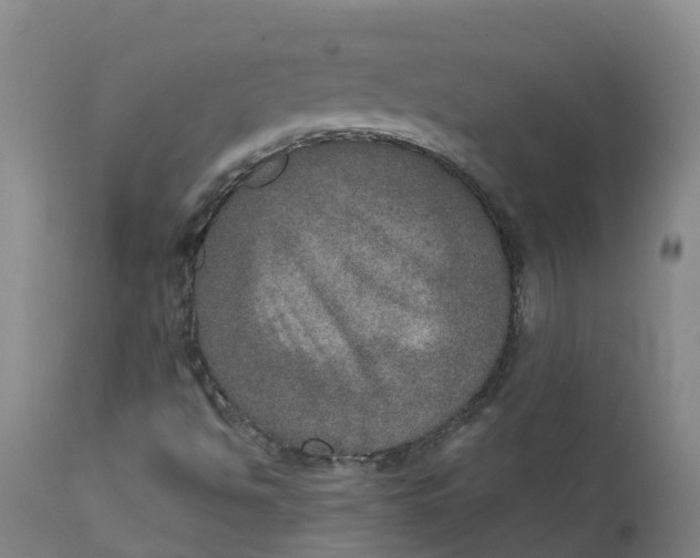 X0000111801494200908131423