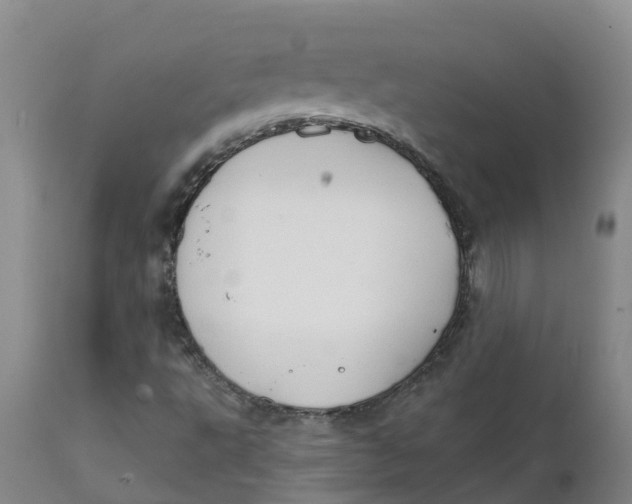 X0000111801495200908131424