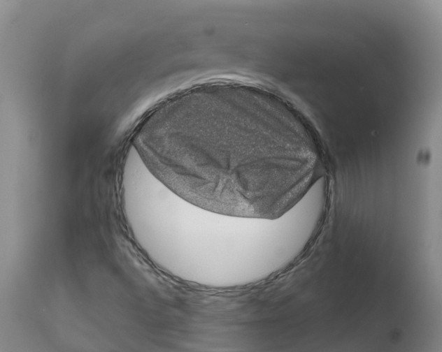 X0000111801496200908131424