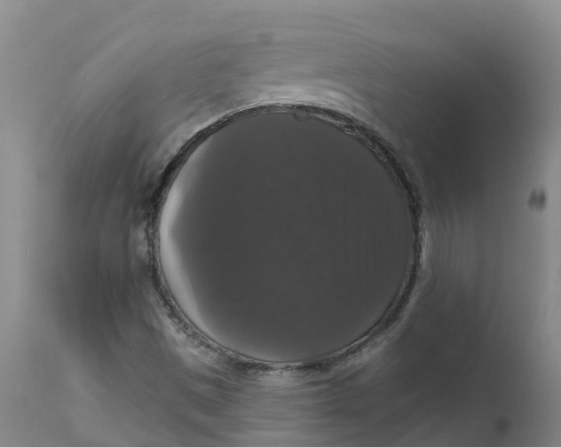 X0000111801497200908131424
