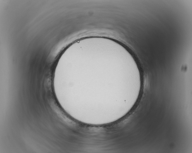 X0000111801498200908131424
