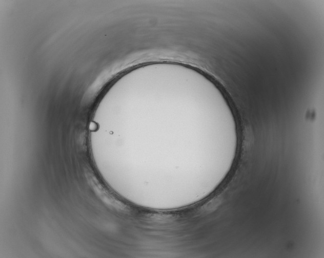 X0000111801499200908131424